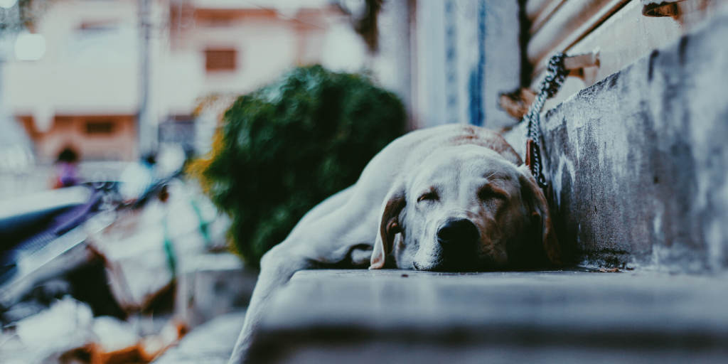 30+ Cheap Things to Do When You’re Bored This Weekend